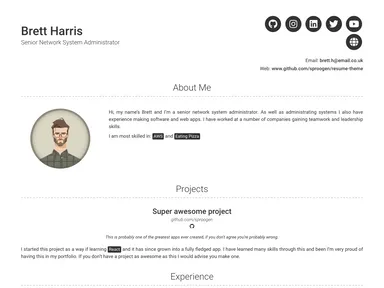 Modern Resume Theme screenshot